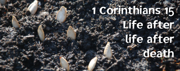 1 Corinthians 15: Life after life after death